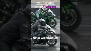 ninja h2 vs hayabusa [upl. by Miles957]