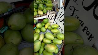 Filipino Carabao Mango made in Zambales  Manggang Kalabaw  short mango erhictv [upl. by Malachy]