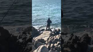 Easy Caught Massive Snapper at the Rocks [upl. by Tennaj]