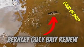 Bait Review Berkley Powerbait Gilly Swimbait [upl. by Hafeetal]