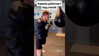 Тренировка мощного удара от Канело boxing бокс тренировка удар спорт канело canelo сила [upl. by Gal]