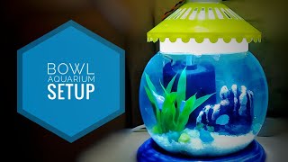 EASIEST WAY TO SET YOUR BOWL AQUARIUM  LIGHT SETUP 💡💡 [upl. by Annoved]