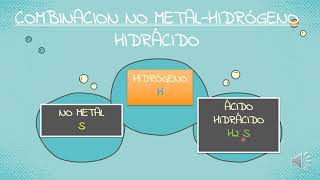 FUNCIONES HIDROGENADAS [upl. by Yadnus]