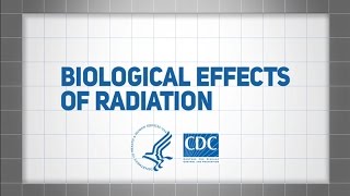 Biological Effects of Radiation [upl. by Diraj879]