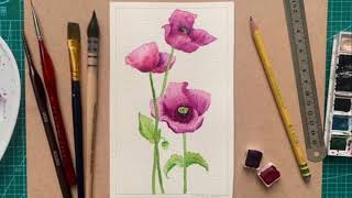 Wild Poppy Watercolour Tutorial for Beginners [upl. by Lorry]