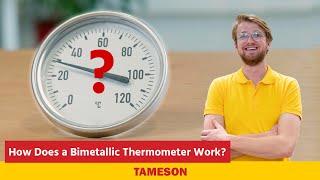 How Does a Bimetallic Thermometer Work  Tameson [upl. by Muffin]