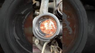 Oil in Radiator Coolant [upl. by Ygief]