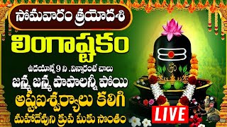 లింగాష్టకం  LINGASHTAKAM MONDAY SPECIAL POWERFUL BHAKTI SONGS 2024 [upl. by Abbey158]