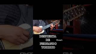 DESPIERTA  LATIDOS COVER CHARANGO [upl. by Atews890]