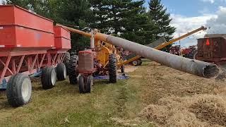 SHELLING CORN 2024 [upl. by Shanda319]