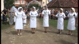 Svadba Dragane i Dragana 02082014 2 Parteš [upl. by Horter448]