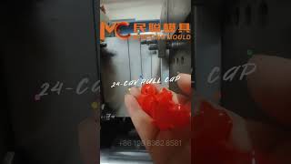 Pull amp Push Cap for Dishwasher Fluid from Mincong Mould [upl. by Sakmar]