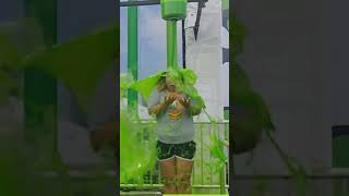 Faith Gets Slimed  Slimefest 2019 Chicago [upl. by Eerised214]