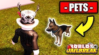 Jailbreak PETS UPDATE Robbable Pet Shop How To Make Jailbreak Popular Again  Roblox [upl. by Imeon197]