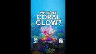 Why do corals glow [upl. by Sufur]