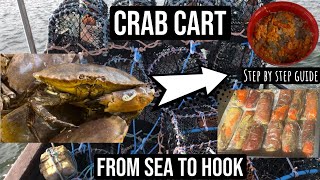 Crab cart  from sea to freezer  an easy step by step guide on preparing your own wings and cart [upl. by Silvia]