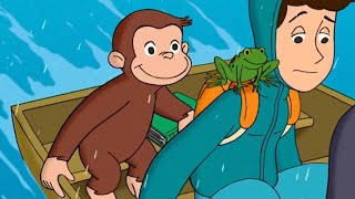 George O Curioso 🐵Caçando ArcoIris 🐵Compilação 🐵O Macaco🐵 Desenhos Animadoss [upl. by Froh]