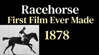 Racehorse First Film Ever Made 1878 [upl. by Ioved]