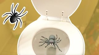 Spider filter prank compilation [upl. by Ahsikam]