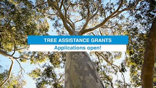 Tree Assistance Grant  Applications Open [upl. by Giuditta]