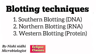 blotting techniques  byNishi Nidhi  general Microbiology  eclipse classes [upl. by Bautram]