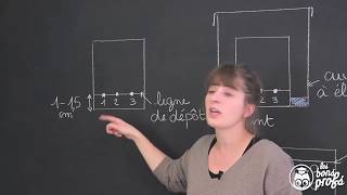 Chromatographie sur couche mince  PhysiqueChimie  Les Bons Profs [upl. by Woo]