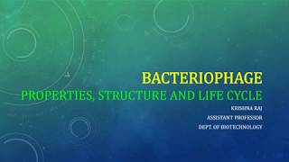 BACTERIOPHAGE PROPERTIES STRUCTURE AND LIFE CYCLE MALAYALAM [upl. by Nnaael17]