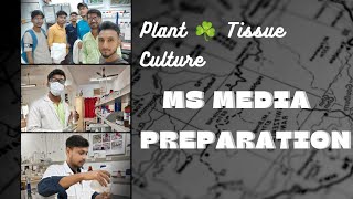 How To Prepare Tissue Culture Media For Plant Cell Cultures [upl. by Moselle764]