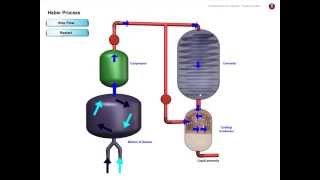 Haber Process [upl. by Marlo734]