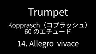 Trumpet Kopprasch 14 [upl. by Nohsar]