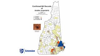 Blacklegged tick numbers in New Hampshire are increasing [upl. by Geis167]