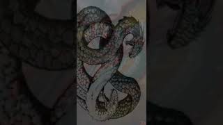 Amphisbaena Greek mythology shorts mythicalcreatures cryptids mythical [upl. by Nylirahs]