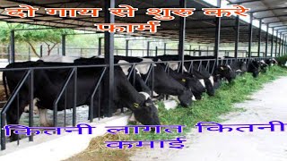 2 गायो का फार्म शुरु करने मे कितना खर्च और कितनी कमाई small dairy farmdairyfarminginindia [upl. by Mcgruter96]