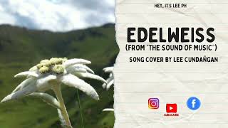 Song Cover Edelweiss [upl. by Africah]