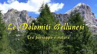 DOLOMITI BELLUNESI TRA PAESAGGIO E NATURA [upl. by Philender]