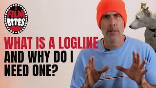 What is a logline and why do I need one [upl. by Sully356]