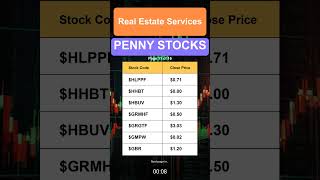 Real Estate Services Penny Stocks [upl. by Leihcar]