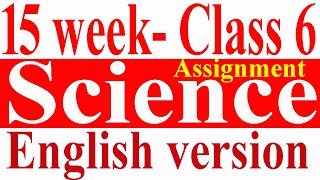 Class 6 Assignment  Science  English version  15 week [upl. by Sulienroc652]