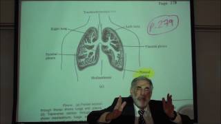 RESPIRATORY PHYSIOLOGY PLEURAL MEMBRANES INTRAPLEURAL PRESSURE amp VALSALVA MANEUVER by Professor F [upl. by Libre438]