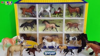 Coleccion de Caballos 🐎 de Breyer  Videos para niños  Mimonona Stories [upl. by Ettevahs]