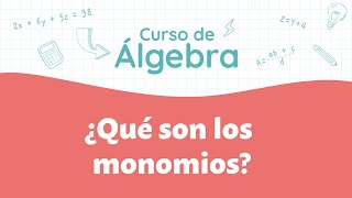 ¿Qué son los monomios  Curso de Álgebra [upl. by Otila504]