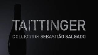 Champagne Taittinger – Discover the collection by Sebastião Salgado an animal alliance [upl. by Ullyot737]