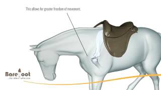 Barefoot Treeless Saddles  How it Works [upl. by Yevad43]