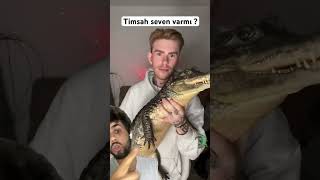 Timsah seven varmı  🐊😱 evcilhayvan timsah hayvanlar [upl. by Bary]