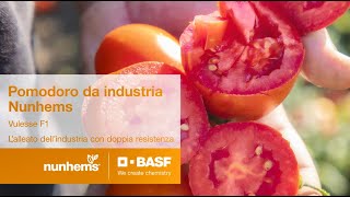 Vulesse F1  lalleato dellindustria con doppia resistenza [upl. by Edrock]