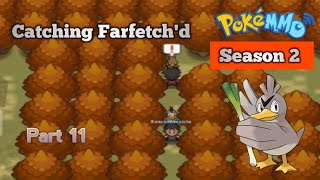 quotCatching Farfetchd in Illex forestquot PokeMMO Gameplay Season 2 Part 11 [upl. by Ellerey]