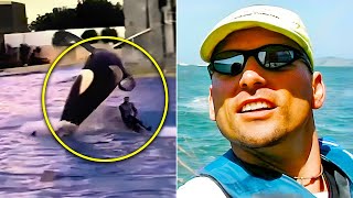 The Gruesome Killer Whale Attack On SeaWorld Trainer John Sillick [upl. by Amling]