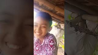 Pantunsunda  MangAno Jeung Kaka video lucu pantunsunda comedy [upl. by Ebony]