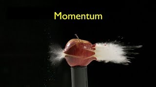 What Is Momentum [upl. by Dustie]