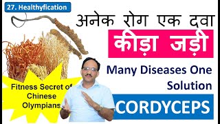 Many Diseases One Solution  Cordyceps  अनेक रोग एक दवा  Keeda Jadi  Himalayan Gold  SK Sharma [upl. by Cross]